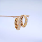 Load image into Gallery viewer, 9K Gold Stud Earrings Caia