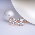 Load image into Gallery viewer, 925 Silver Stud Earrings SEO Silver