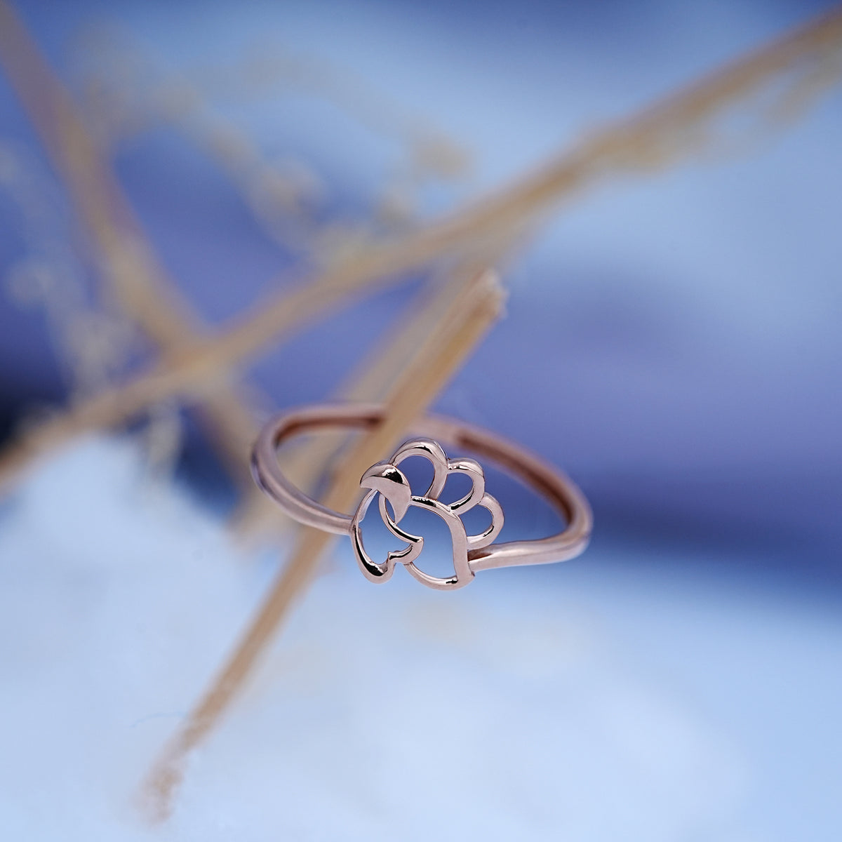 Caia 14k ca1rg14w451 ring women hero