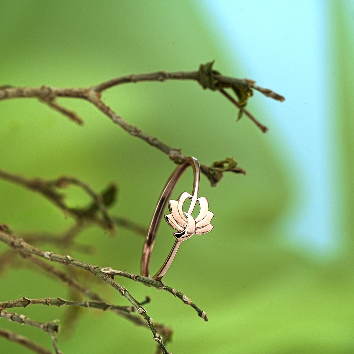 Caia 14k ca1rg14w462 ring women hero