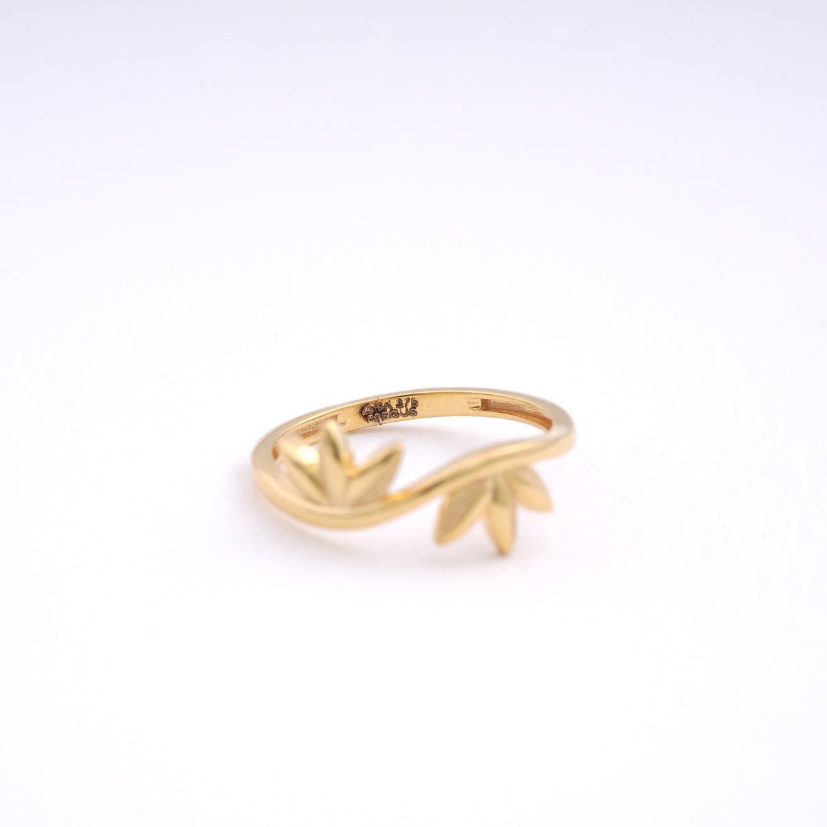 Caia 9k ca1rg9w086 ring women hero